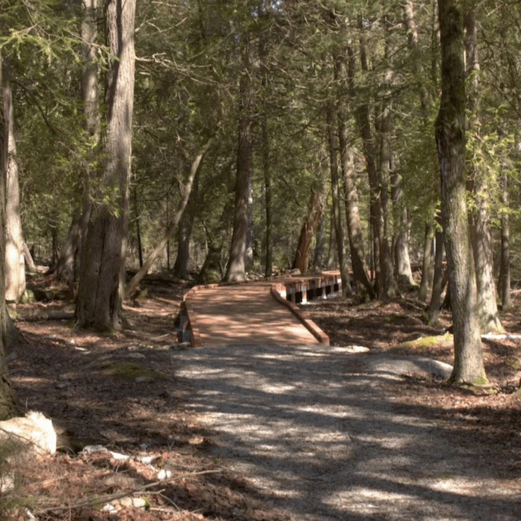 Peninsula State Park, Door County WI, forrest walk. Top 5 Scenic Hikes in the Door County Peninsula