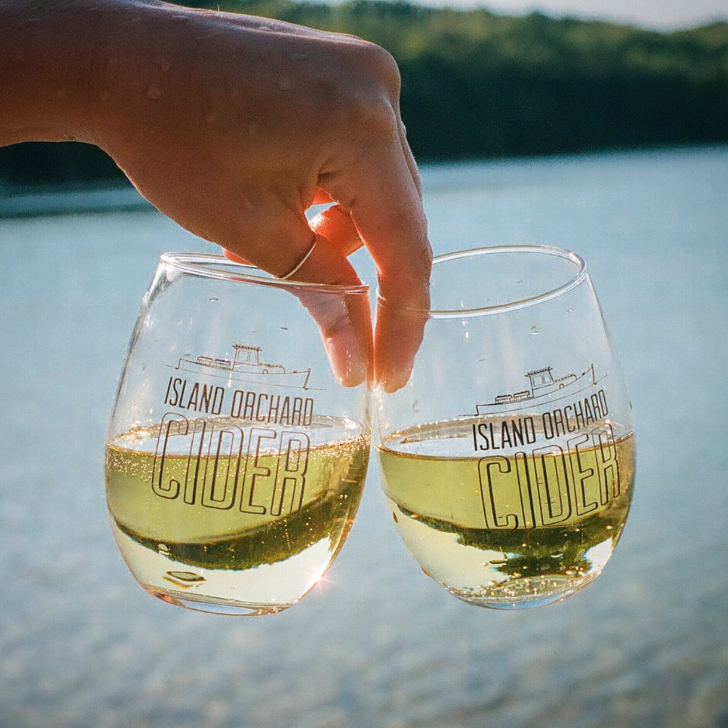 Breweries, Wineries, Cideries in Door County Wisconsin